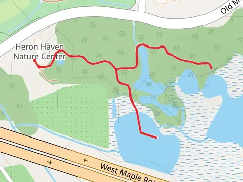 Old Maple Road Walk