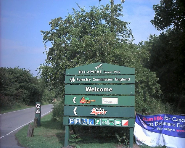 Delamere Forest Park, King's Chair and Brine's Brow Loop