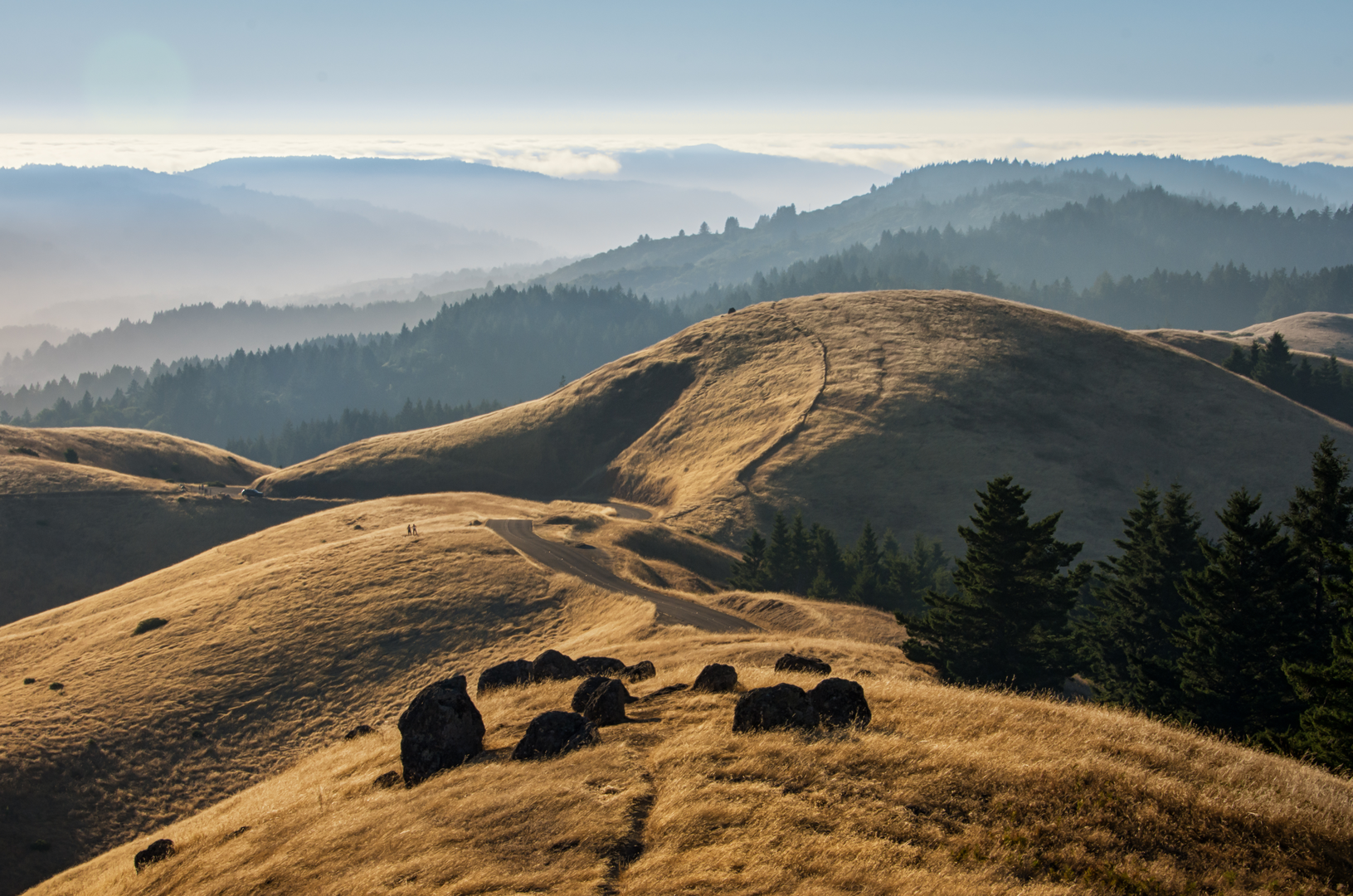 An image depicting the trail Camp Eastwood, Mount Tamalpais West and East Point and Canopy Loop Trail and its surrounding area.