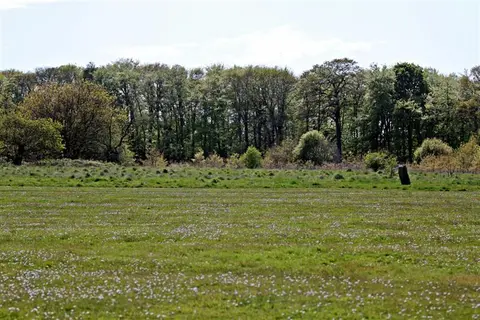 Bidston Hill Loop