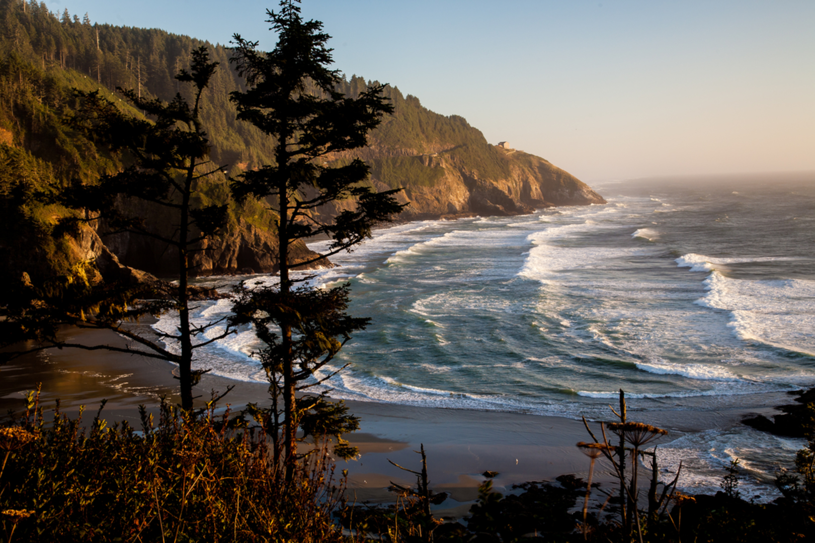 An image depicting the trail Blue Horizon - Cape Mountain Trail and its surrounding area.