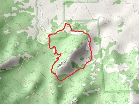 Indian Hollow and Pine Tree Loop Trail
