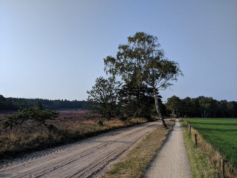 Haarle Loop