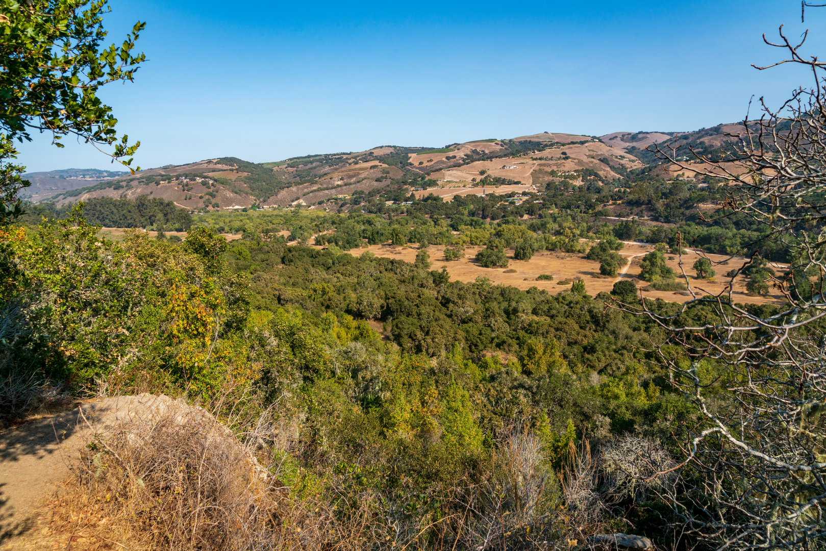 An image depicting the trail Maple Canyon Trail and Lupine Loop Trail and its surrounding area.