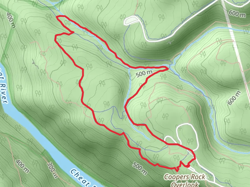 Rhododendron, Mont Chateau and Rock City Loop Trail