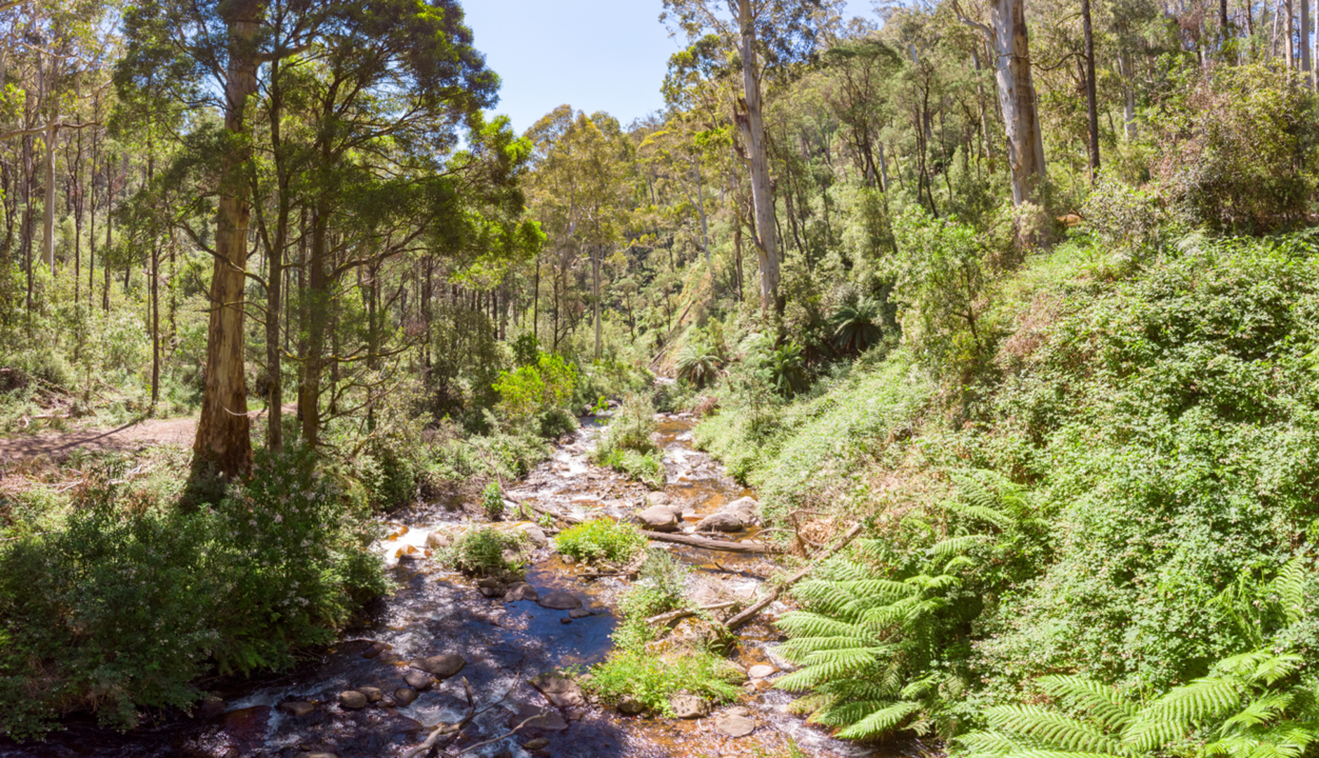 An image depicting the trail Delatite River Trail and its surrounding area.