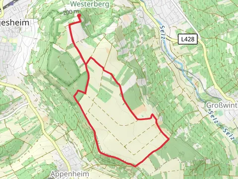 Hochwald Loop via Schloss Westerhaus