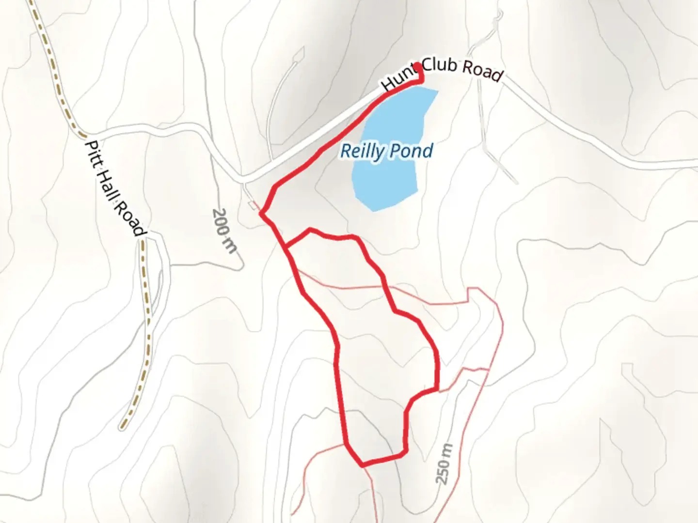 An image depicting the trail White and Red Loop Trail from Reilly Pond and its surrounding area.