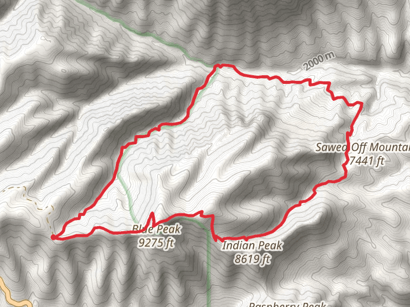 McKittrick Loop via Blue Lookout Trail