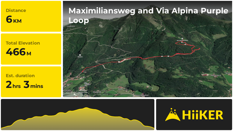 Maximiliansweg and Via Alpina Purple Loop | Traunstein | Germany