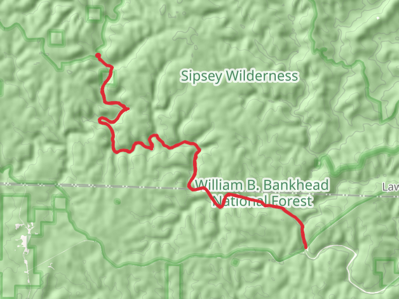 Sipsey Wild Hiking Trail