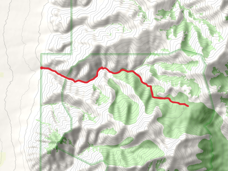 Rebel Creek Walk