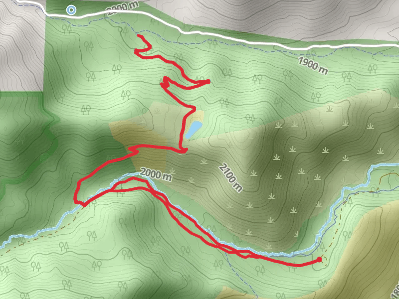 Upper Whites Creek and Dry Pond Trail