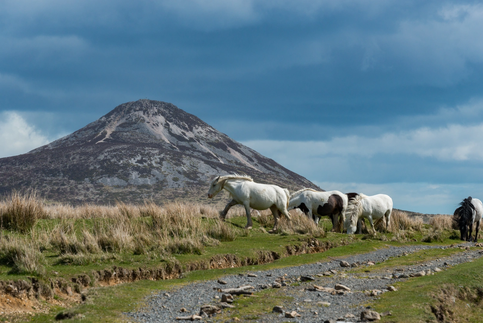 An image depicting the trail Knockmealdowns Traverse and its surrounding area.