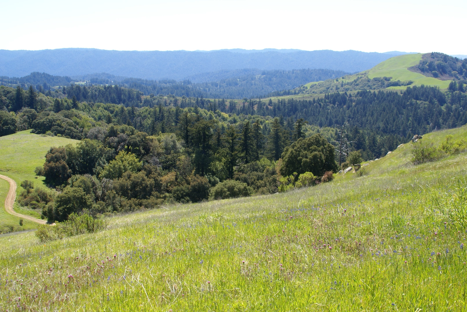 An image depicting the trail Horseshoe Lake, Alpine Pond and Borel Hill Loop and its surrounding area.