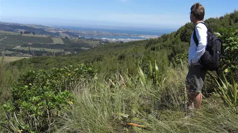 Leith Saddle Track