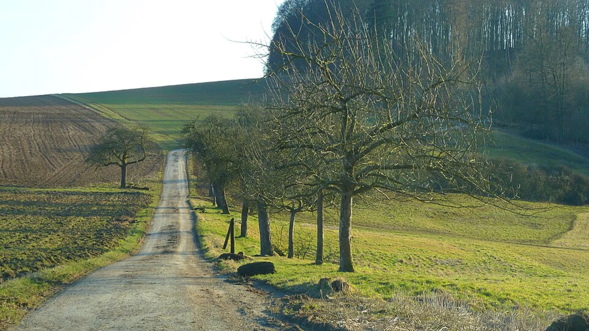 An image depicting the trail Busecker Schlosspark to Alten-Buseck Loop and its surrounding area.