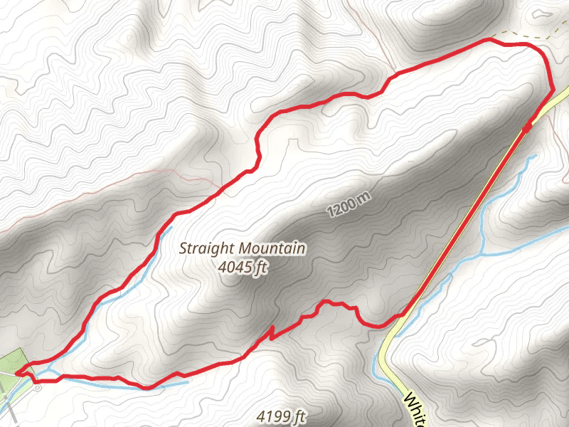 Whitetop Road, Iron Mountain and Straight Branch Loop Trail