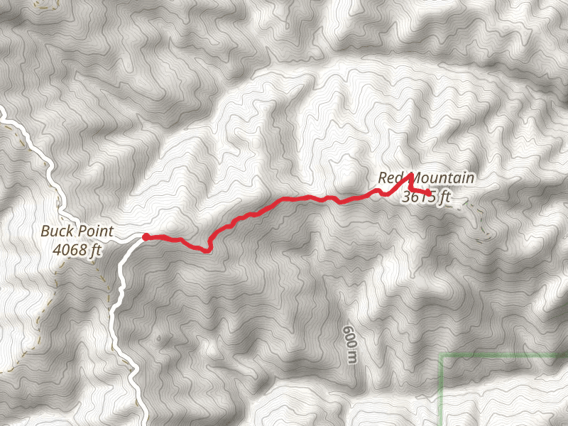 Red Mountain Out and Back