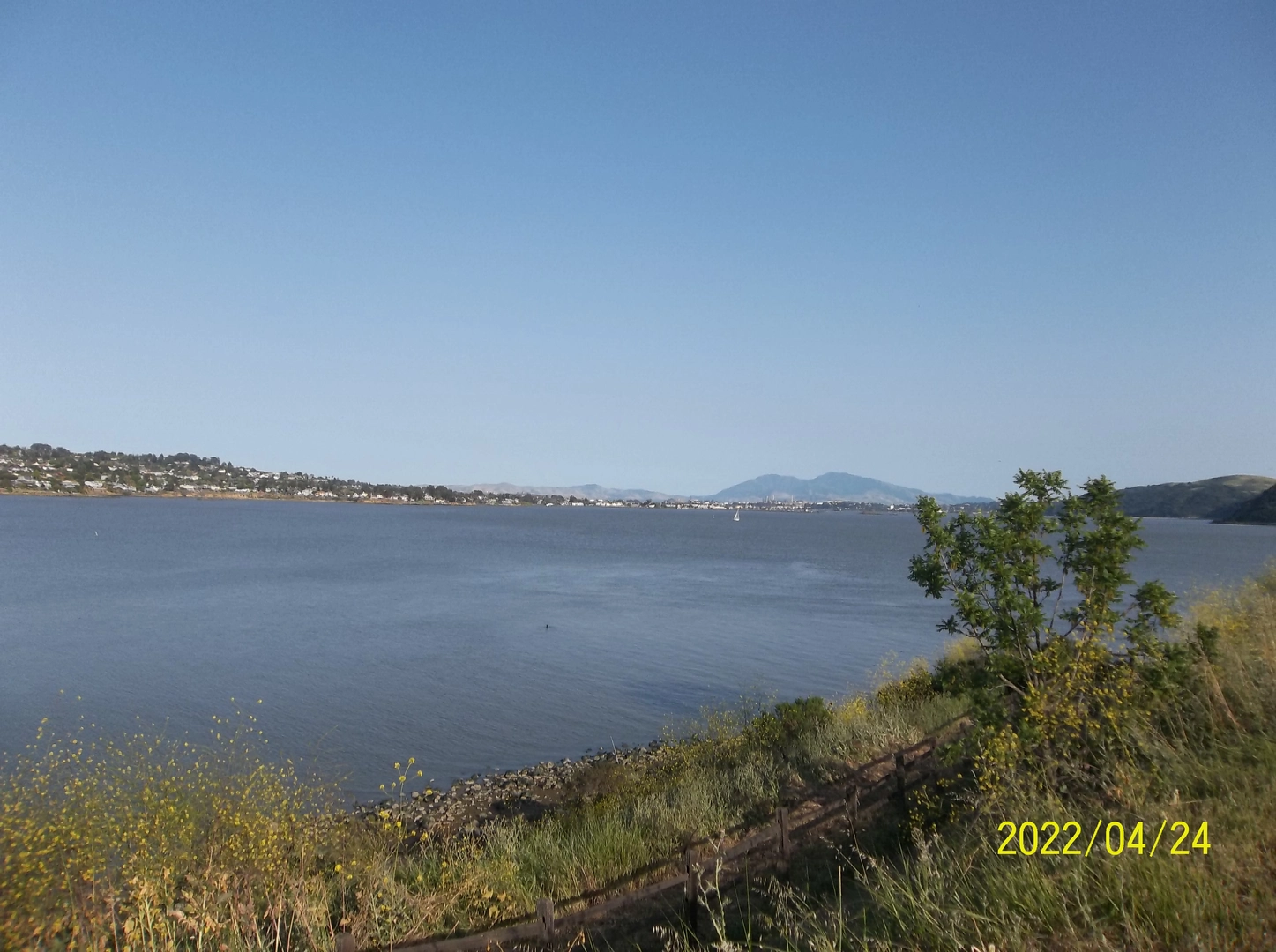 An image depicting the trail Mike Tougher Trail and Bay Area Ridge trail - North Bay and its surrounding area.