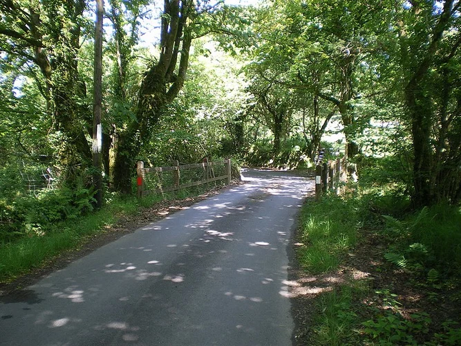 Gelli Fawr Walk