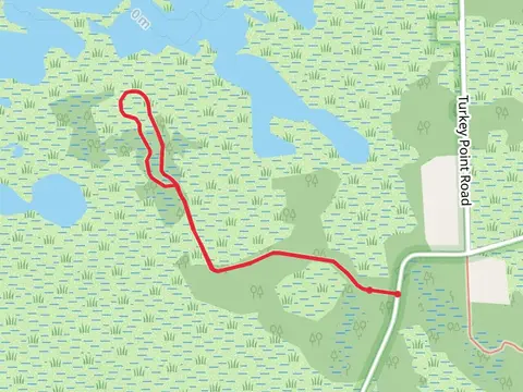 Bald Eagle Trail