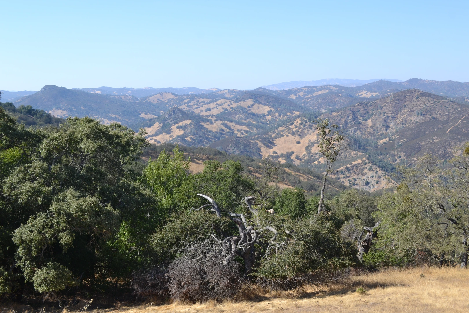 An image depicting the trail Wilson Peak Loop via Pacheco Falls Trail and Hunting Hollow and its surrounding area.