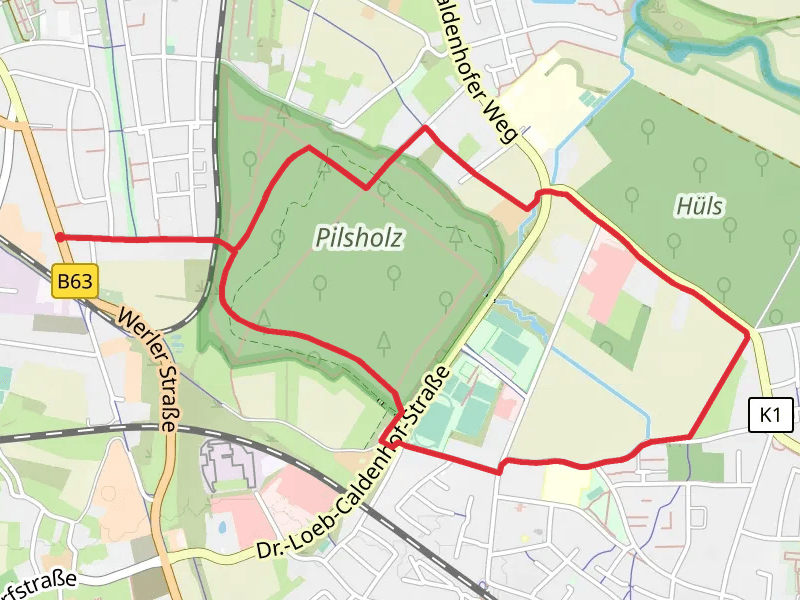 Pilsholz Loop