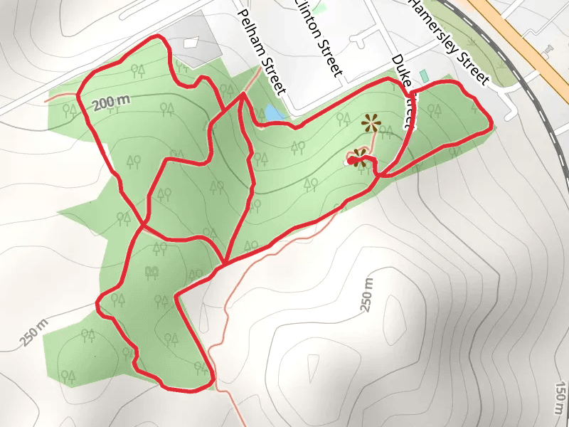 Pelham Reserve Trail