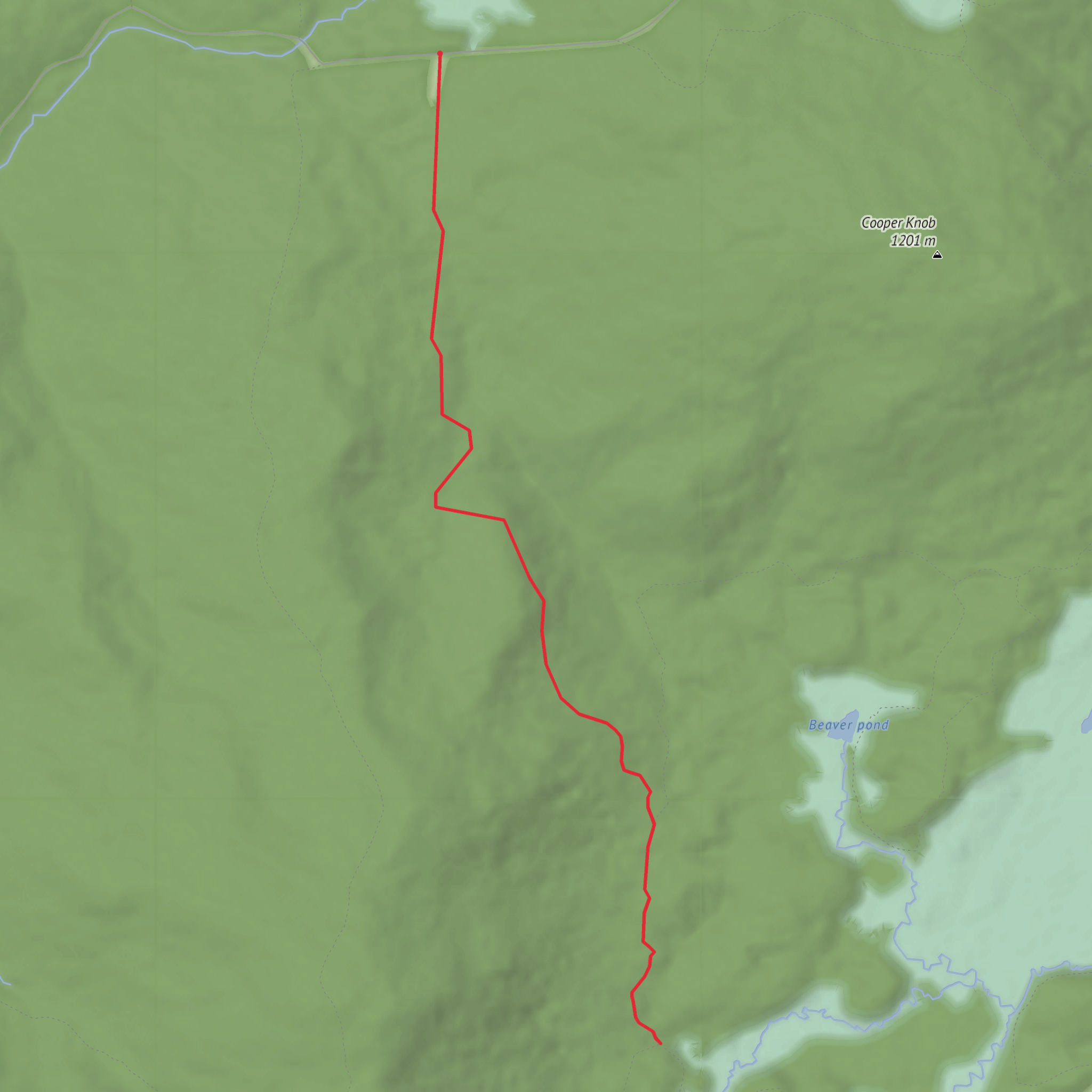 Allegheny Trail Out and Back mobile static map