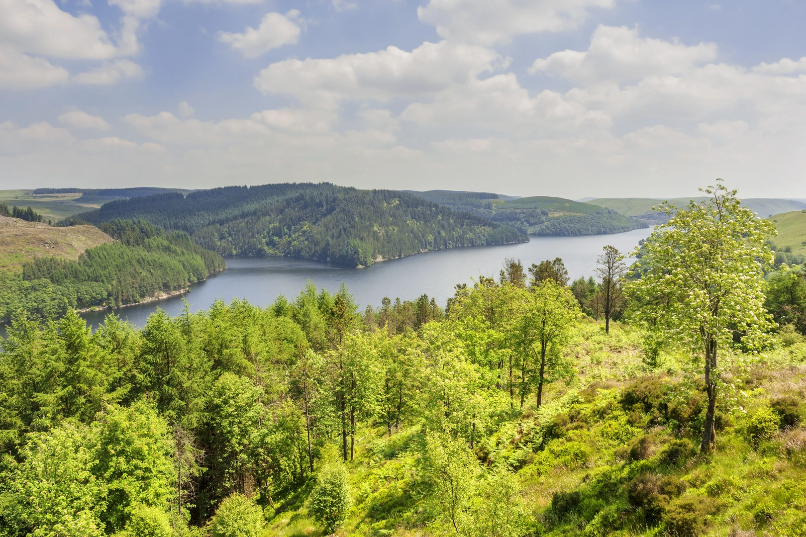 An image depicting the trail Glyndŵr's Way and its surrounding area.