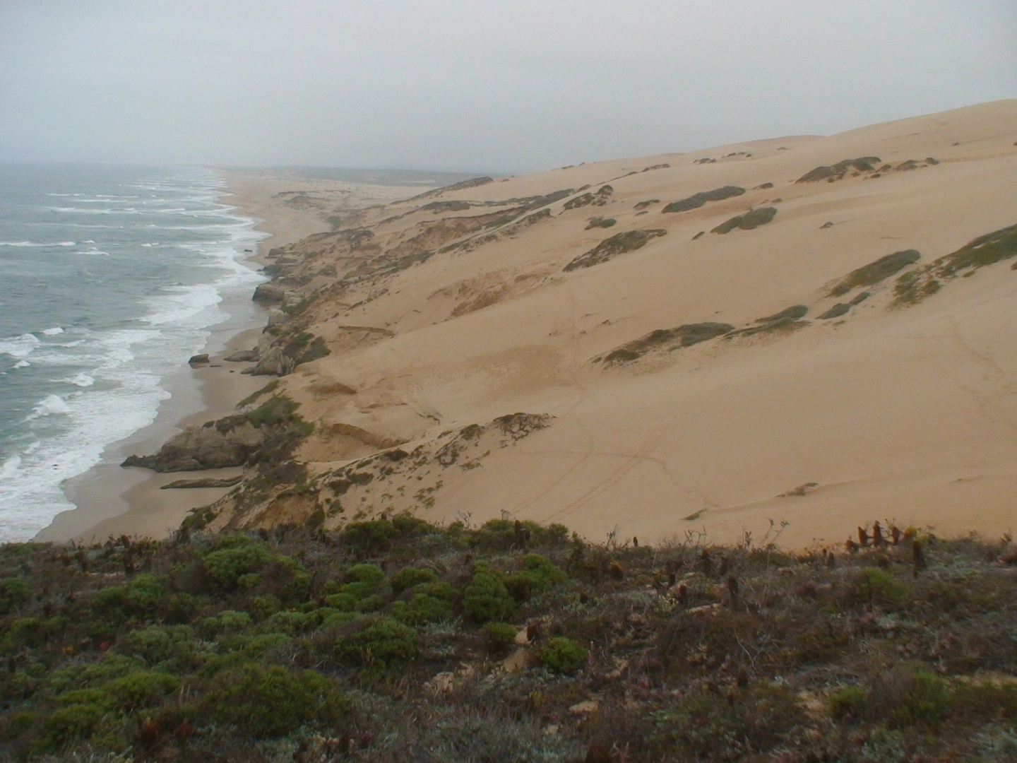 An image depicting the trail Mussel Rocks Trail and its surrounding area.