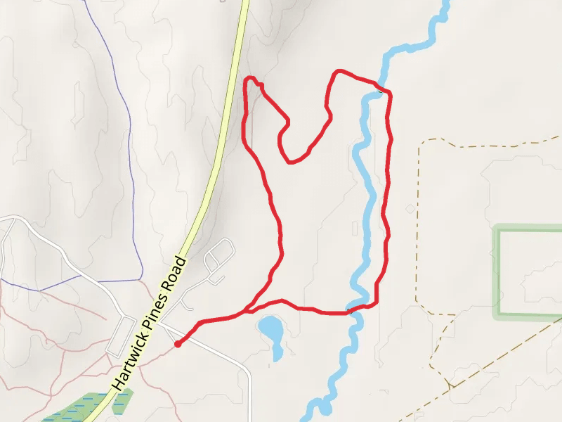 Au Sable River Trail Loop
