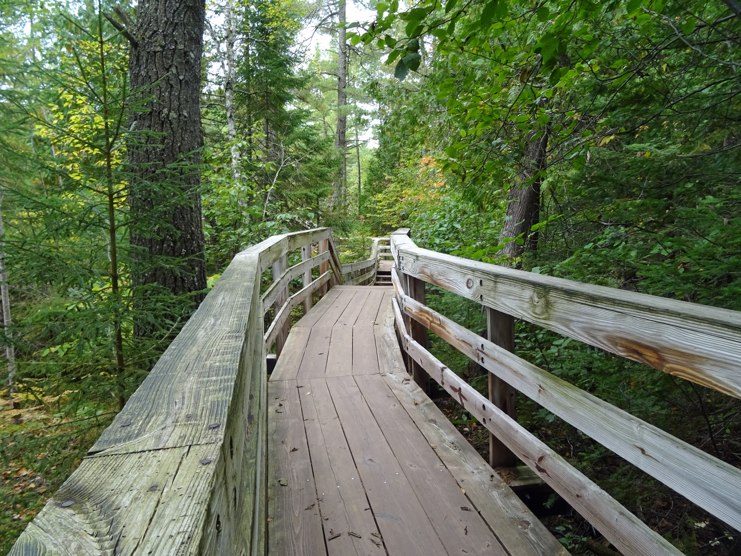 An image depicting the trail North Country Trail - Wisconsin and its surrounding area.