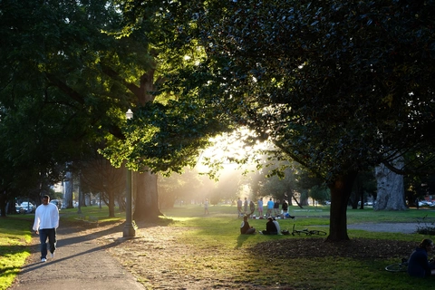 The Panhandle Park Loop