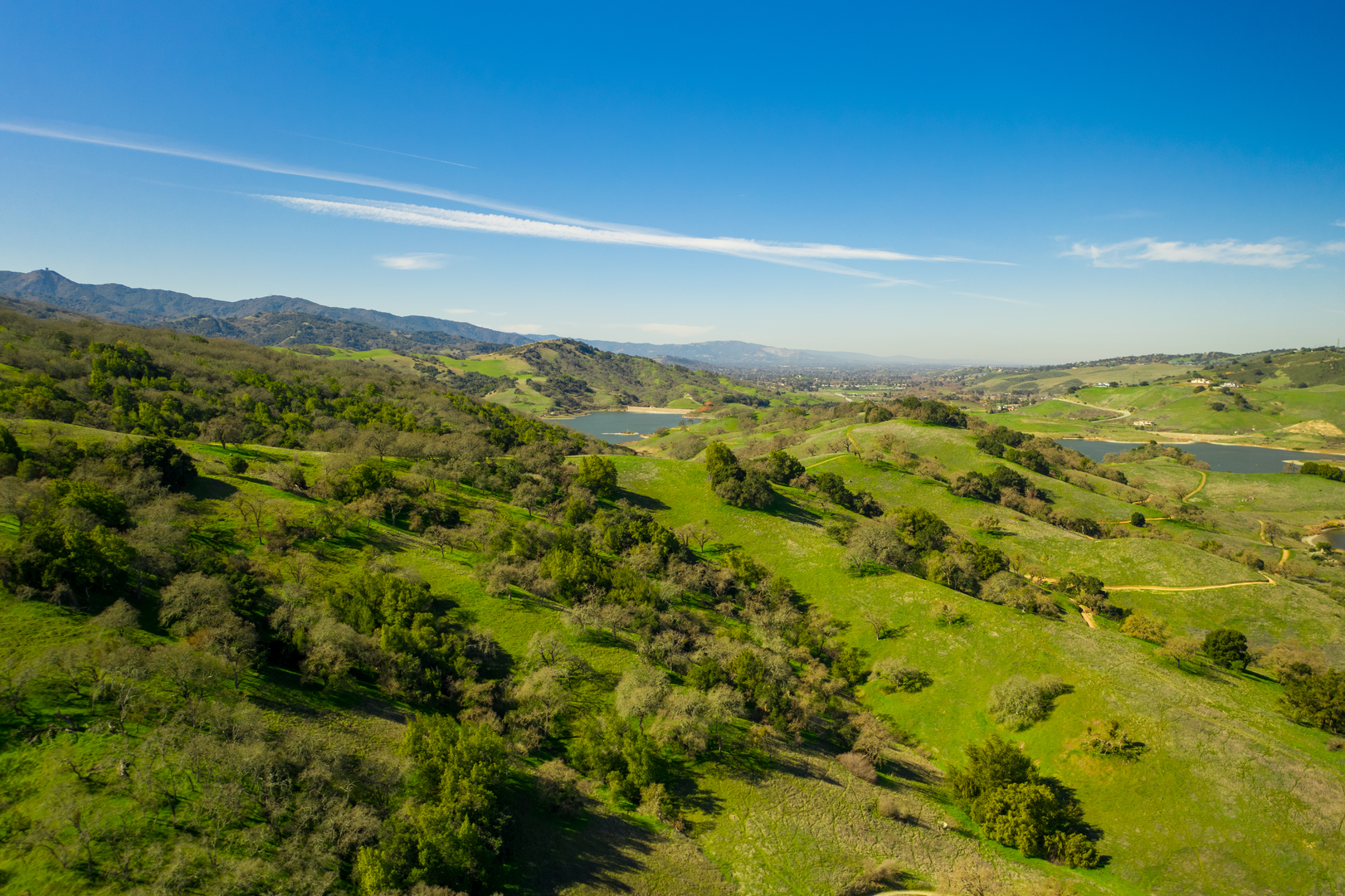 An image depicting the trail Oak Grove, Figueroa and Pena Loop Trail and its surrounding area.