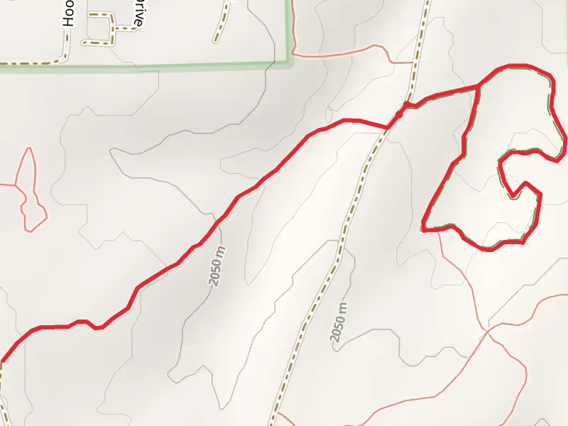 Heber Hollow and Pine Loop Trail
