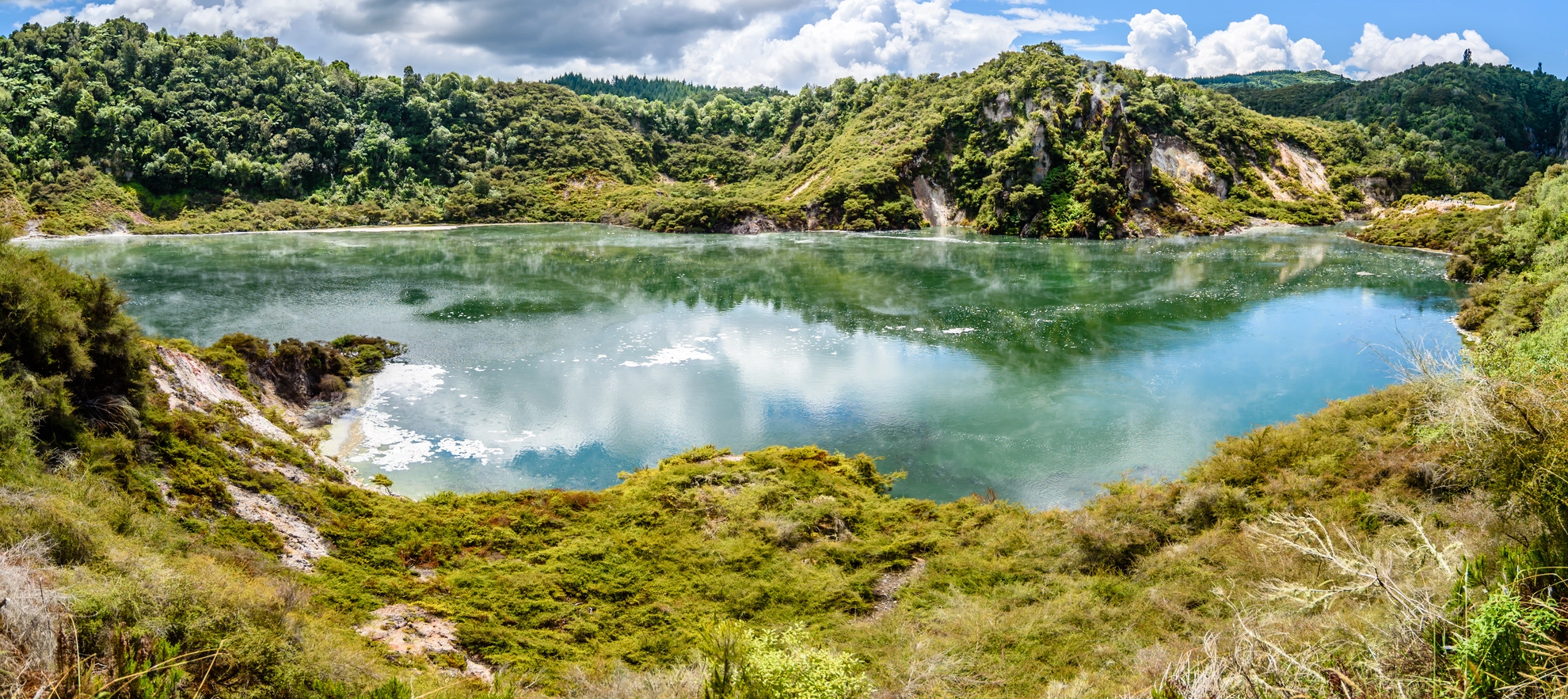 An image depicting the trail Waimangu Thermal Valley Walk and its surrounding area.