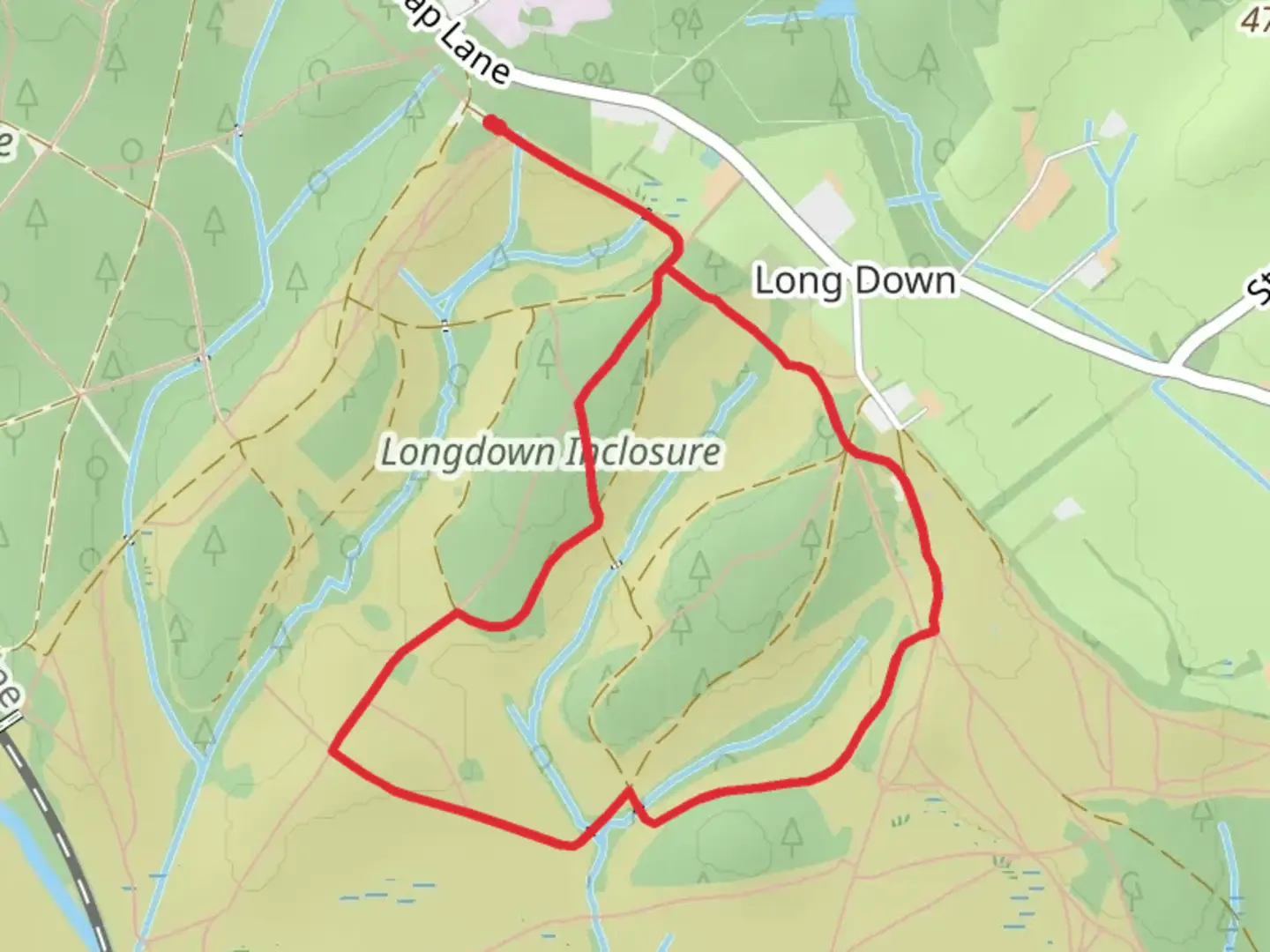Longdown Inclosure Loop | Hampshire | England