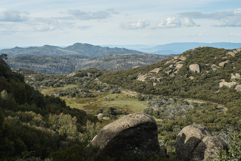 Le Souef Plateau Track