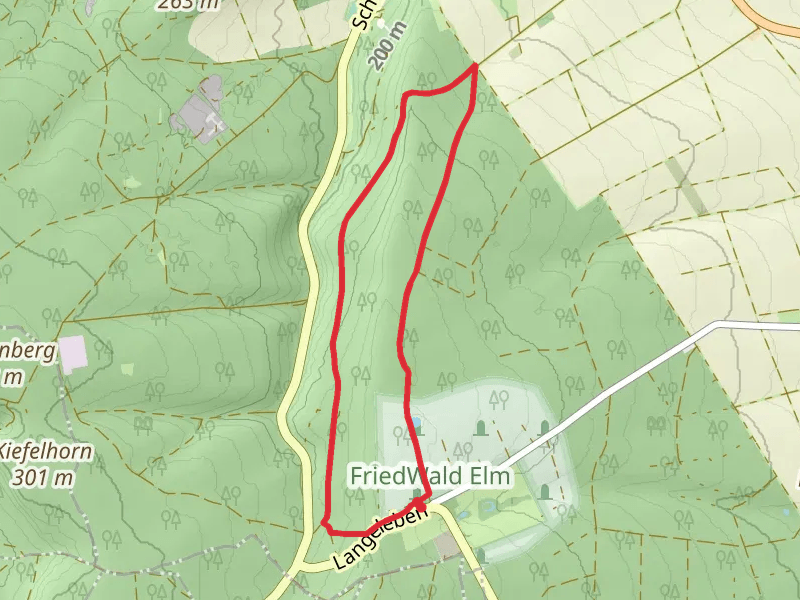 Badeholz and Elm Rundwanderweg 17 Loop