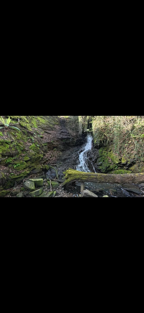 Hike Beech hill - Standish Circular Wigan