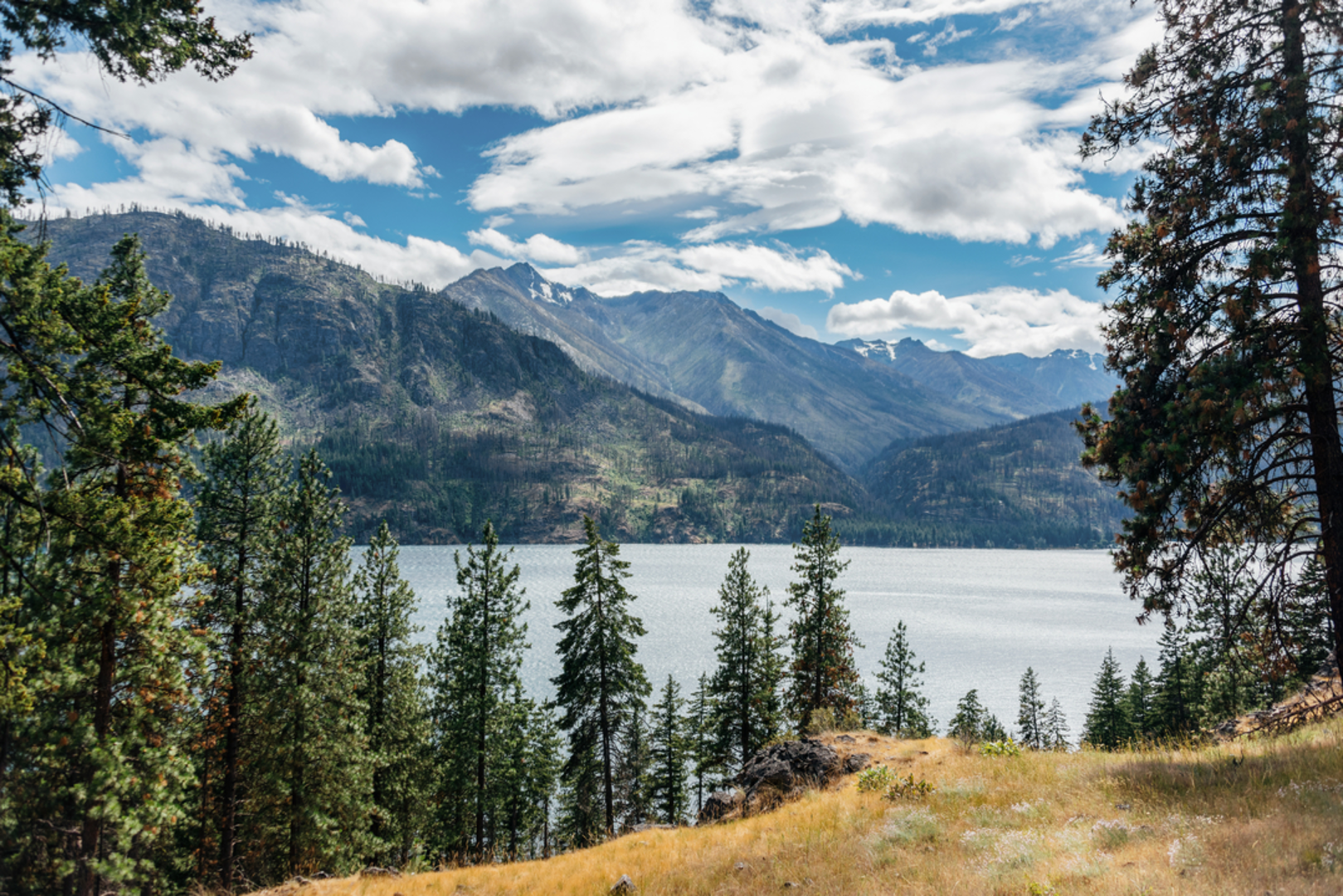 An image depicting the trail Summit Wilderness Trail via Purple Creek Trail and its surrounding area.