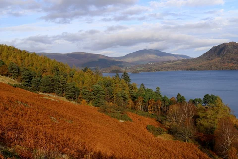 Derwentwater Lakeshore and Brandlehow Park Walk