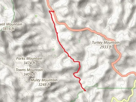 Dicks Creek Road Point to Point