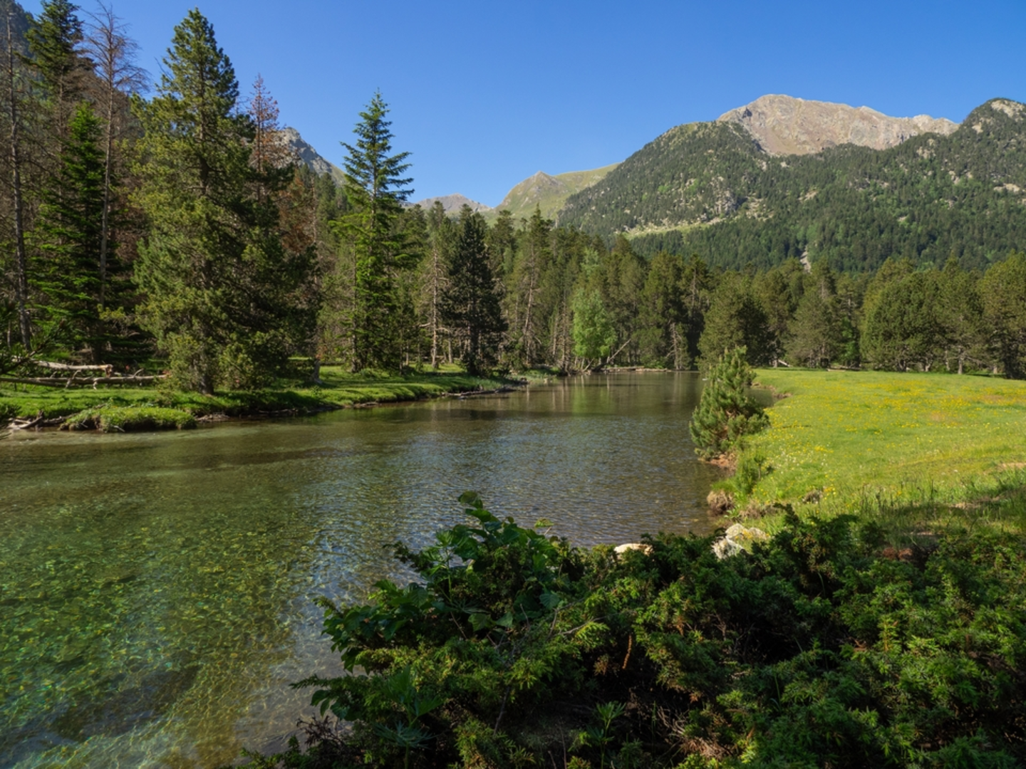 An image depicting the trail Estany Llong vía Vall de Sant Nicolau and its surrounding area.