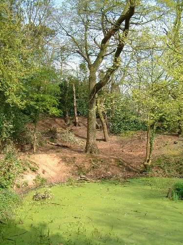 Moseley Bog Loop
