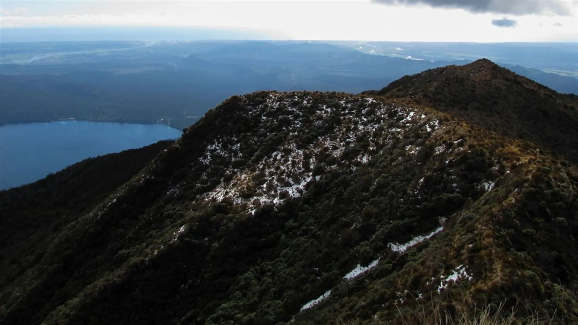 An image depicting the trail Mount Tuhua Track and its surrounding area.