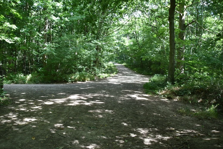Joydens Wood Long Loop