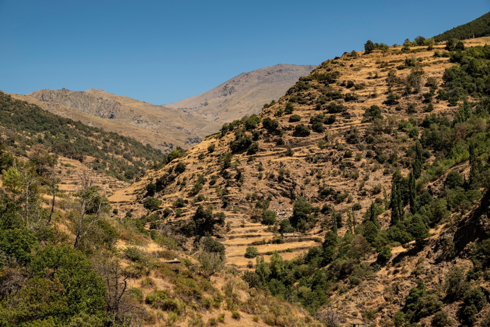 An image depicting the trail Mirador Puerto Molina and its surrounding area.